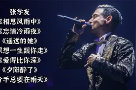 张学友粤语经典《相思风雨中》《忘情冷雨夜》《只想一生跟你走》视频封面