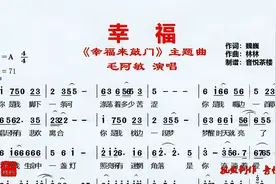 毛阿敏《幸福》，《幸福来敲门》主题曲，幸福是经过风雨收获阳光