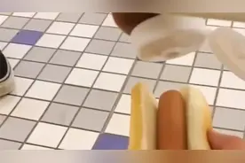 不是每个厕所美食家都叫老八视频封面