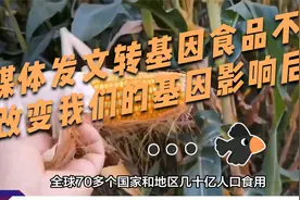 5月22日媒体发文表示转基因食品不会改变我们的基因影响后代视频封面