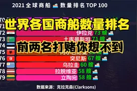 世界各国商船数量排行榜TOP 100，美国仅排第6，日本第4，中国呢?视频封面
