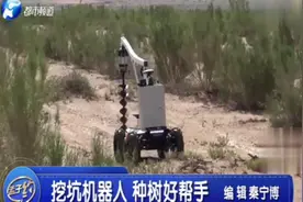 自动挖坑机器人，种树好帮手，阿拉善上线！视频封面