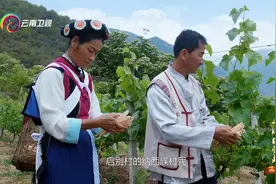 云南卫视《一心跟党走》第五集 《筑 梦》视频封面