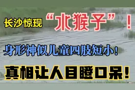 长沙惊现“水猴子”？身形竟然像儿童四肢短小！究竟是怎么回事？视频封面