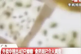 外卖中挑出40只蟑螂，女子直呼太恐怖了！这是吃蟑螂吧？