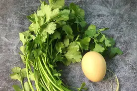 一把香菜就能轻松瘦，坚持吃，体重慢慢降下来，成本不到1块钱视频封面