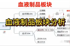 血液制品板块分析：（天坛生物，上海莱士，博雅生物，派林生物）视频封面