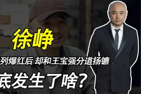 徐峥：凭囧系列爆红后，却和王宝强分道扬镳，他们到底发生了啥？视频封面