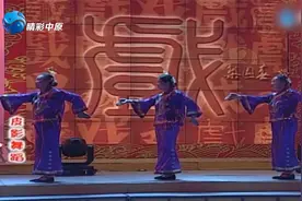 梨园春：70岁的老妈妈表演的皮影舞蹈太生动，动作神态惟妙惟肖视频封面