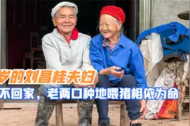 留守老人：87岁的刘昌贵夫妇，儿子几年不回家，种地养猪相依为命视频封面