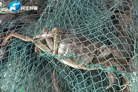 河南郑州：女子称买螃蟹遭遇缺斤短两？记者现场走访发现“问题”视频封面