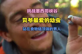 贝爷挑战大峡谷，小肥虫当零食吃，饿了就吃生鱼片，生活十分滋润视频封面