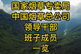 中国国家烟草专卖局，中国烟草总公司领导干部班子成员一览视频封面
