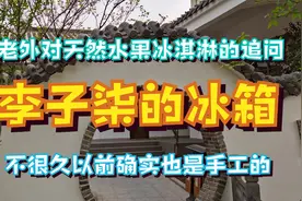 冰箱可以是手工的！李子柒制作天然水果冰淇淋，一切皆有可能视频封面