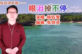 杨钰莹演唱的《眼泪掉不停》旋律优美，深情好听视频封面