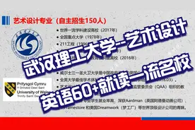 武汉理工大学国际本科4+0（艺术设计）介绍（5min）视频封面