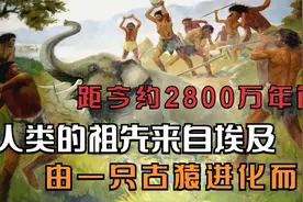 距今约2800万年前，人类的祖先来自埃及，由一只古猿进化而来视频封面