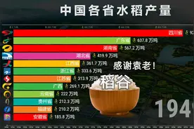 中国各省水稻产量12强排名，国士无双，缅怀袁爷爷！视频封面