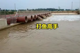 黄河闸口放水，大哥撒网一网扣下去，拖上来爆网了，真是打鱼高手视频封面