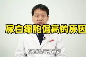 尿白细胞偏高的原因有哪些？视频封面