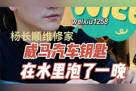 威马汽车钥匙修复视频封面