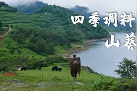 四季调料（六）——山葵，恰到好处的辛辣视频封面