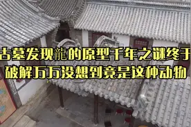 古墓发现龍的原型千年之谜终于破解万万没想到竟是这种动物视频封面