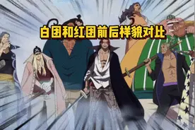 白胡子麾下的冰之魔女堪称冻龄女神 红发团整体变化最大 堪比整容视频封面