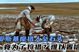 垒起石头居然是为了狩猎？爱斯基摩猎人的独特的猎鹿方法令人惊叹视频封面