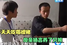 儿子不务正业天天吃喝嫖赌，可怜的母亲伤透了心，扬言：不养就滚视频封面