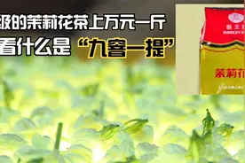 作为国事礼茶的茉莉花茶，看看它九窨（xun）一提的制作工艺视频封面