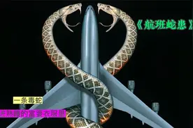 一条毒蛇，钻进熟睡的富婆衣服里视频封面