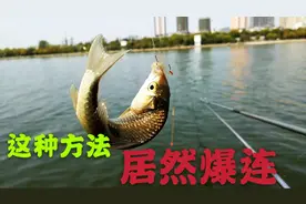 野钓：温差大、鱼停口，换了两种方法居然连竿，赶快分享给大家视频封面