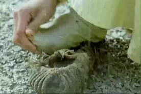美女的袜子永远都是最香的视频封面