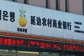 女商人骗贷3亿入股千亿银行 仅耗资3750万成为第二大股东视频封面