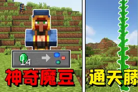 我的世界：一晚就能长成的神奇魔豆，藤蔓顶端竟连通着天界