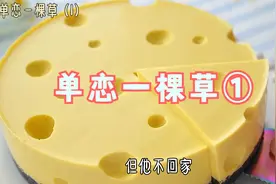 老公每月给我50万，我每天被笑醒，甜文《单恋一棵草》视频封面