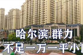 哈尔滨群力最便宜的小区，不到一万一平米，但一定要特别谨慎！