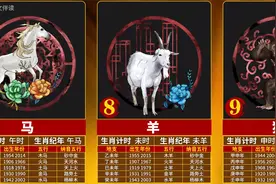 从十二生肖看五行视频封面