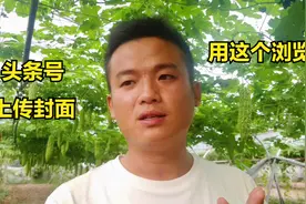 手机浏览器登录头条号不能上传封面，使用这个浏览器可以视频封面