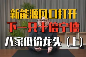 A股八家五元低估值龙头，新能源风口打开成长空间（建议收藏）上视频封面