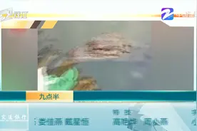 安徽一女子河边洗碗遇见扬子鳄 淡定拍视频称：这是老朋友...视频封面