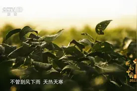 [感动中国2022年度人物颁奖盛典]徐淙祥：欣欣田间麦视频封面
