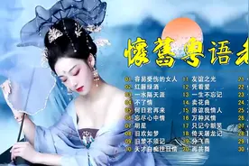 怀旧粤语老情歌40首大联唱视频封面