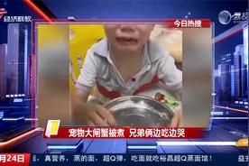 宠物大闸蟹被煮 兄弟俩边吃边哭视频封面