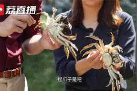 游遍江苏丨溱湖簖蟹膏黄蟹肥！三招教你挑选美味螃蟹视频封面