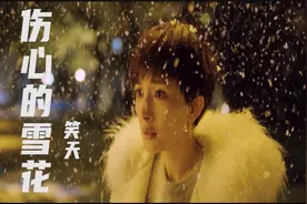 笑天伤感情歌《伤心的雪花》，歌词深情，旋律伤感动听视频封面