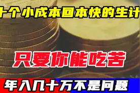 十个低成本回本快的生计，只要你能吃苦，年入几十万不是问题视频封面