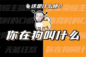 这是什么梗：你在狗叫什么？
