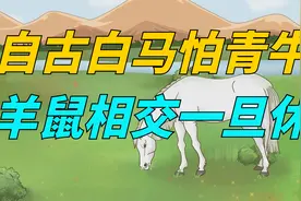 “自古白马怕青牛，羊鼠相交一旦休”，啥意思？老祖宗为何这样说视频封面